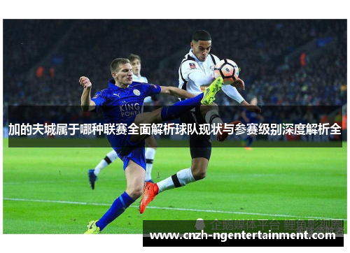 加的夫城属于哪种联赛全面解析球队现状与参赛级别深度解析全