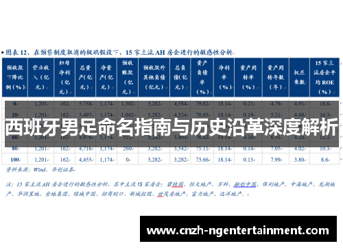 西班牙男足命名指南与历史沿革深度解析 西班牙男足命名指南与历史沿革深度解析